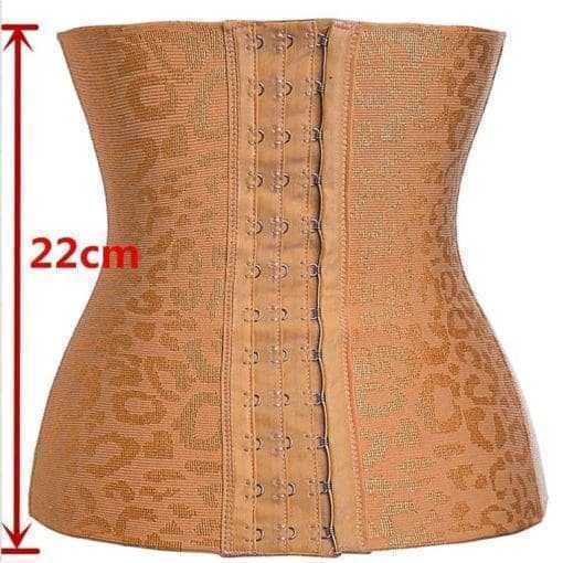 Max Shapewear